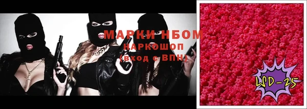 сатива Зерноград