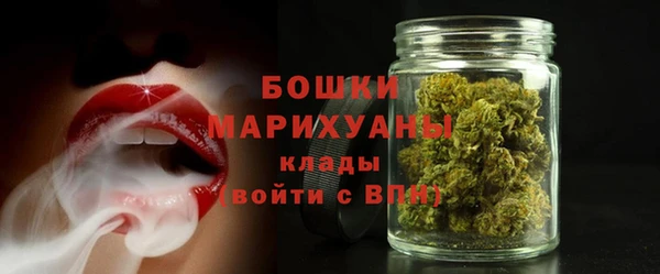сатива Зерноград
