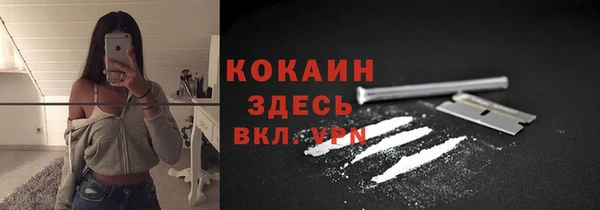 сатива Зерноград