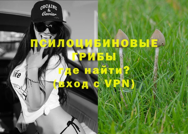 сатива Зерноград