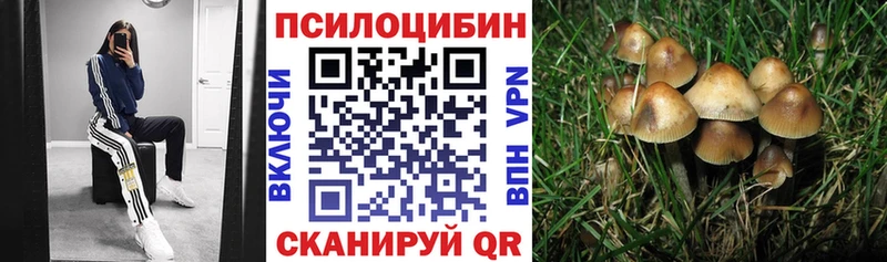 Купить где  Егорьевск  Галлюциногенные грибы GOLDEN TEACHER 